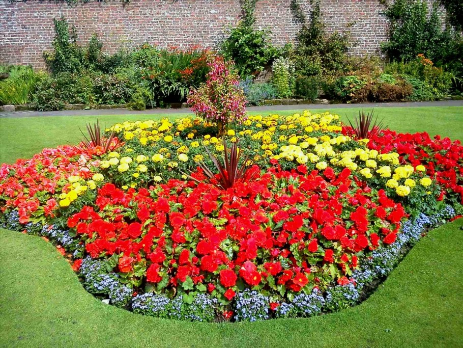 Цветочные клумбы