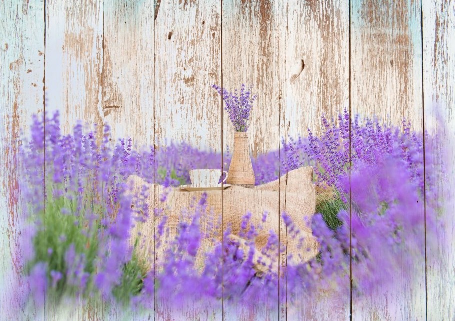 Кухни в стиле Прованс