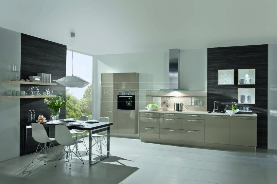 Немецкие кухни в сером цвете