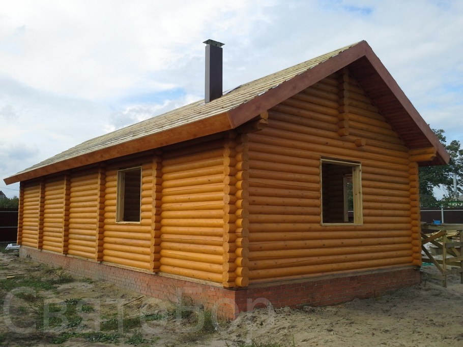 Белинка Топлазурь 13 сосна