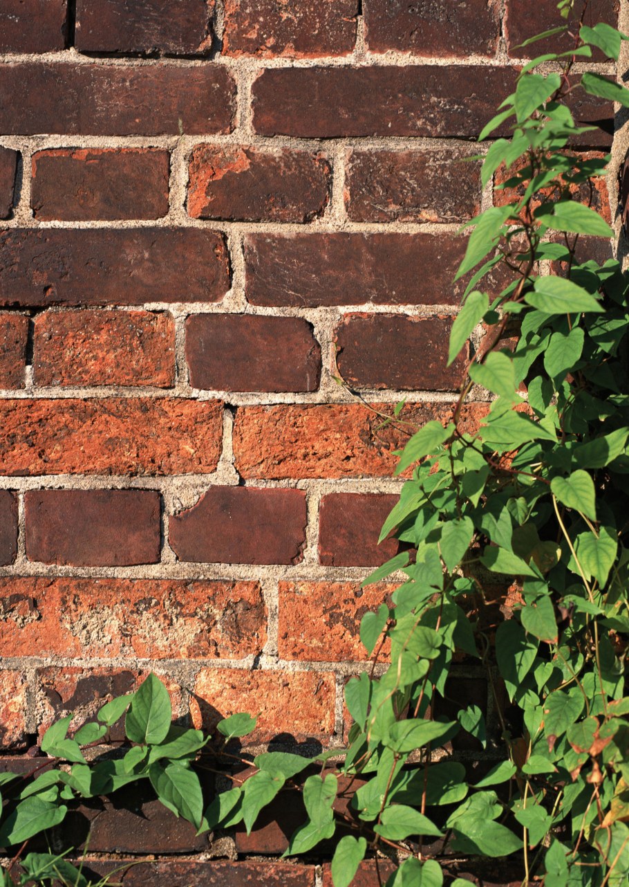 Красный кирпич текстура
