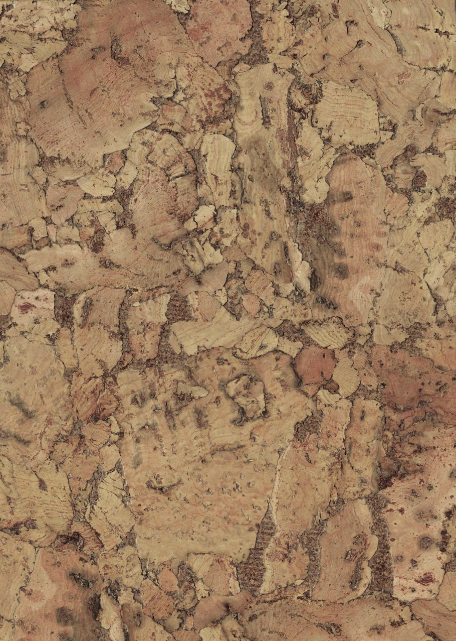 Corksribas Condor White