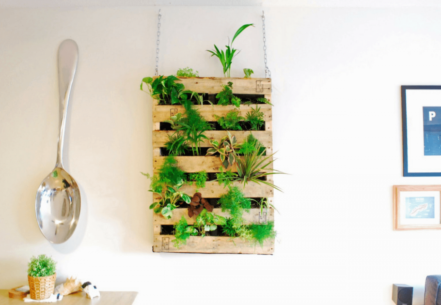 Настенный сад в квартире