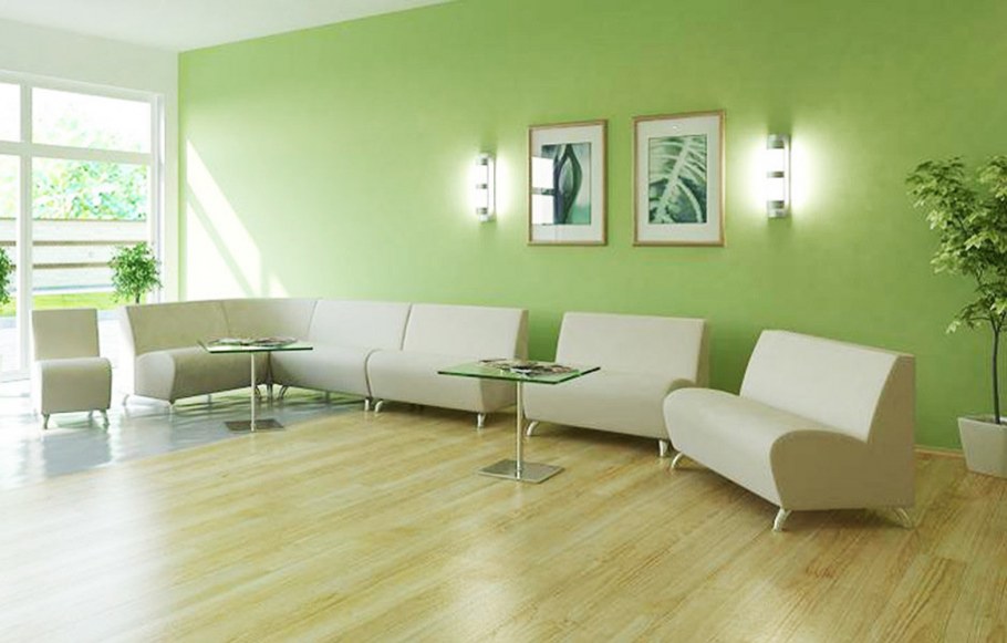 Зеленый цвет стен в офисе