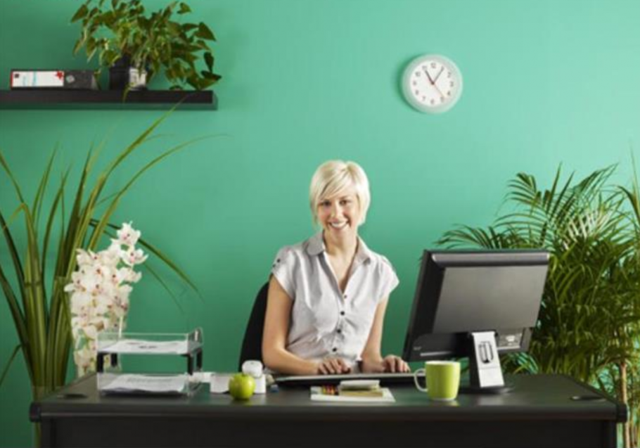 Желто серый офис