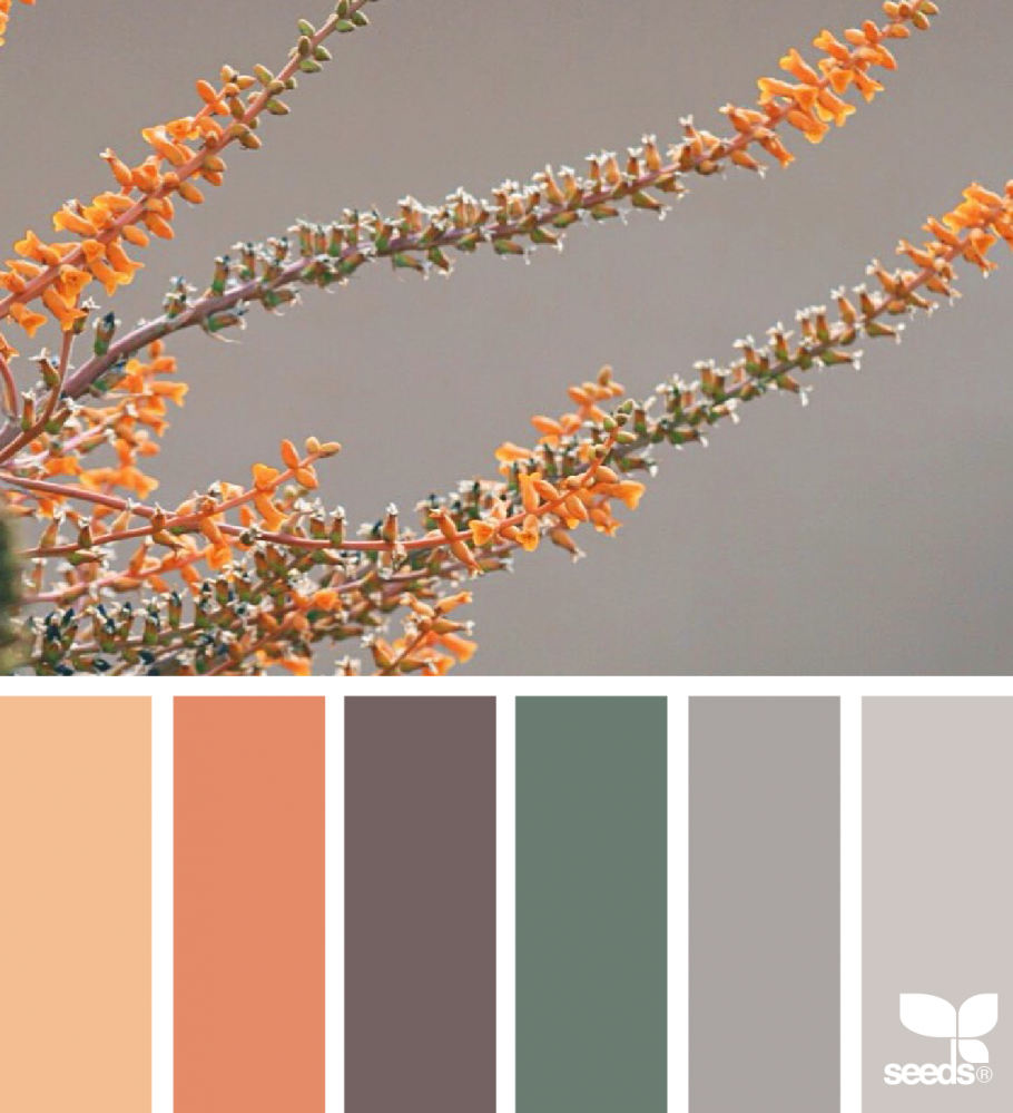 Розовые стены в интерьере