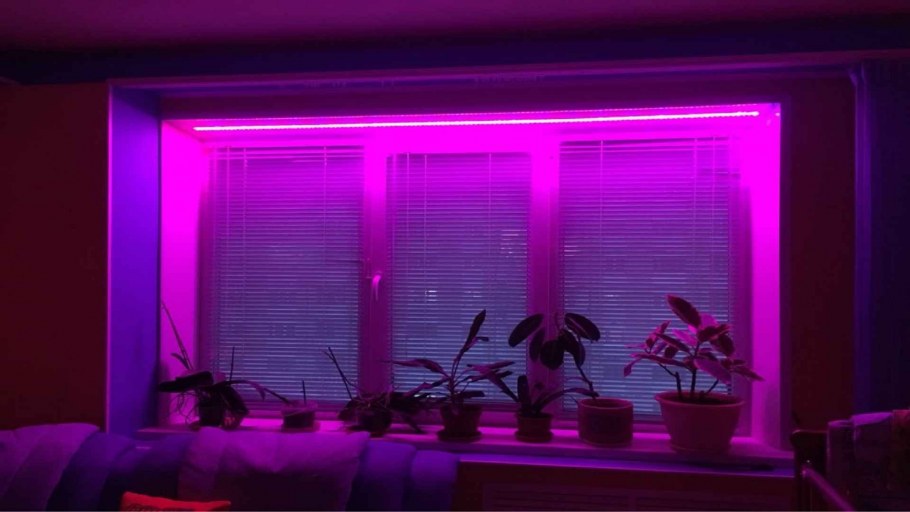 Комната неон