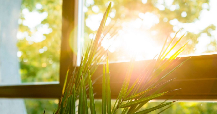 Оконная пленка от солнца