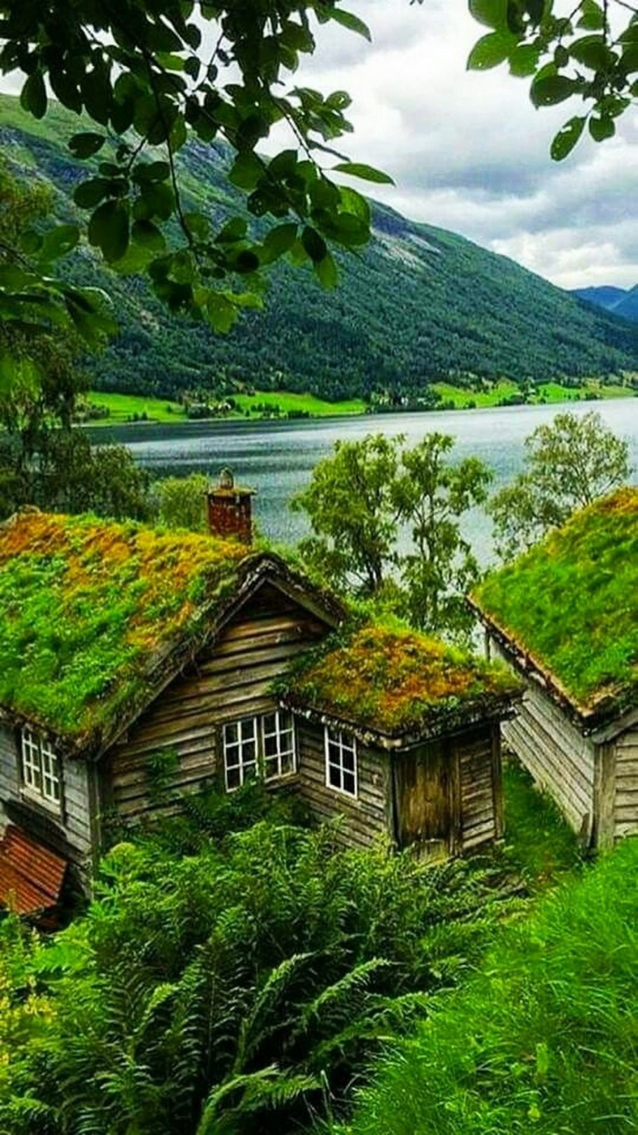 Домик на природе