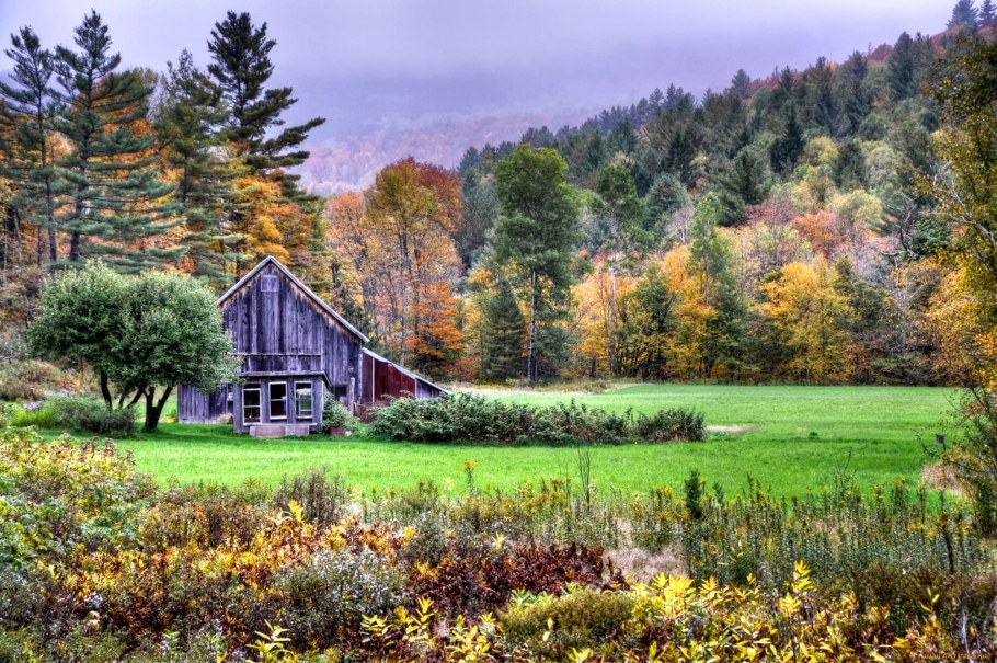 Пейзаж дом в лесу