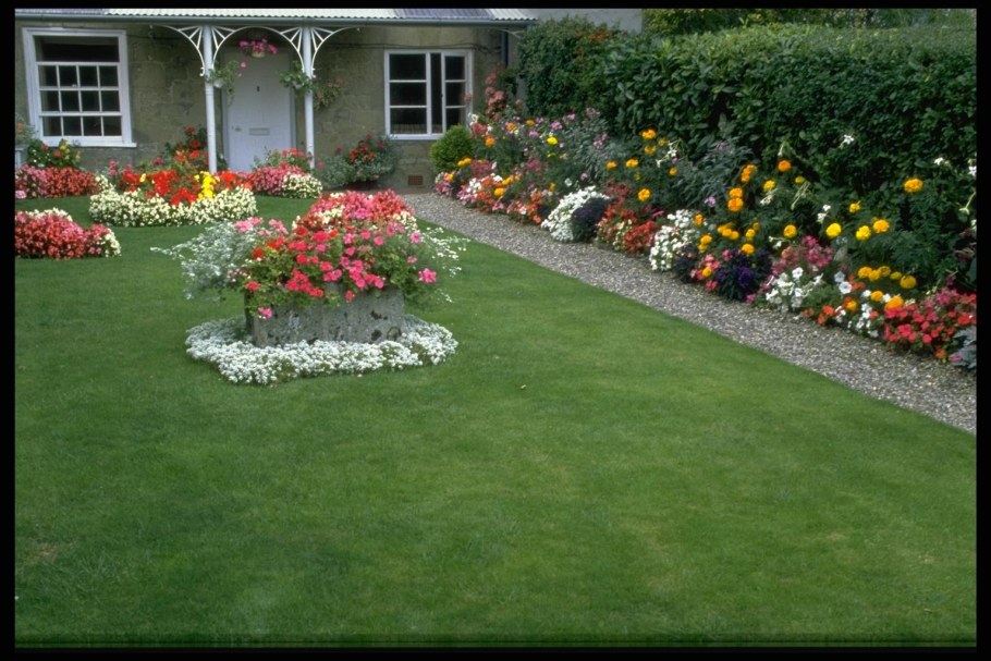 Красивые цветочные газоны
