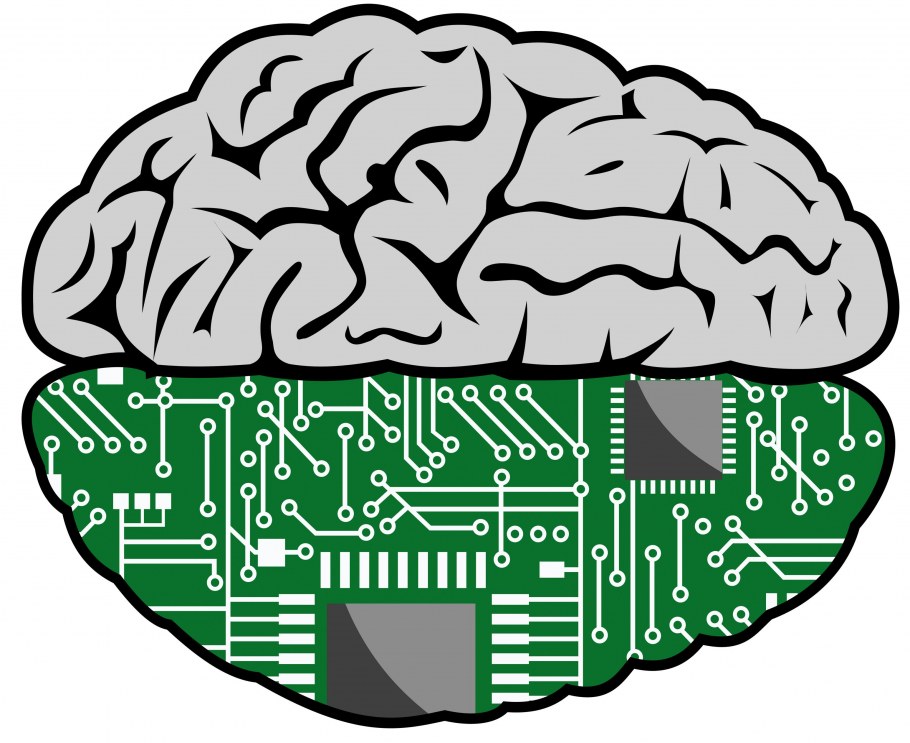 Мозг программиста вектор