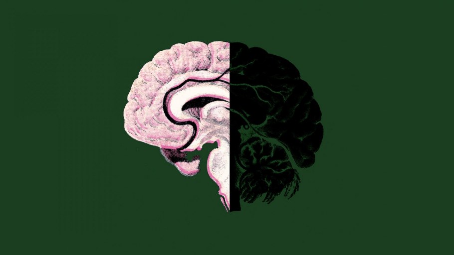 Холодный мозг