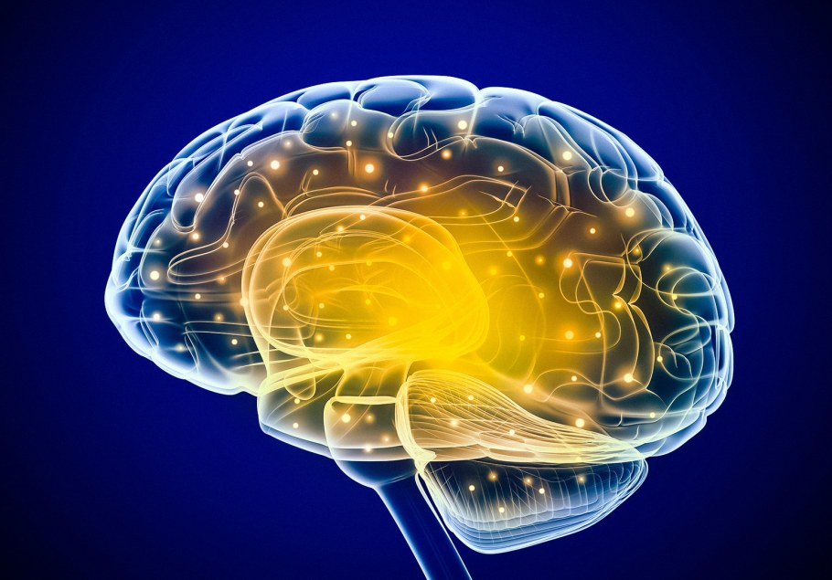 Brain graphic illustration