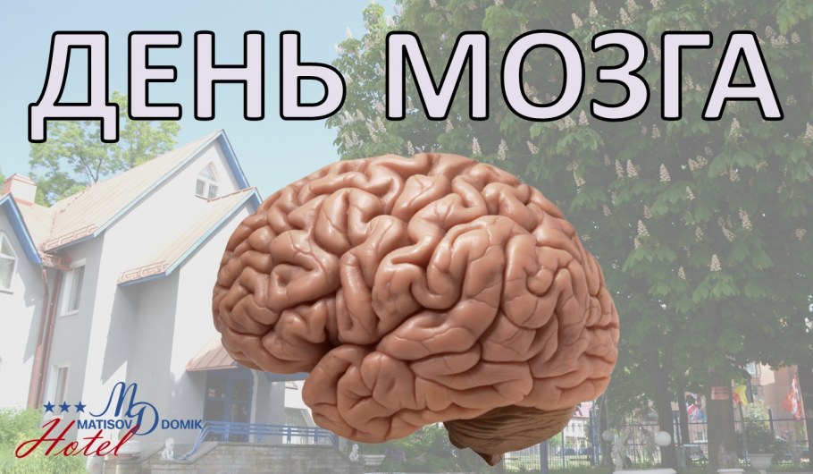 Профессор Преображенский медицина бессильна