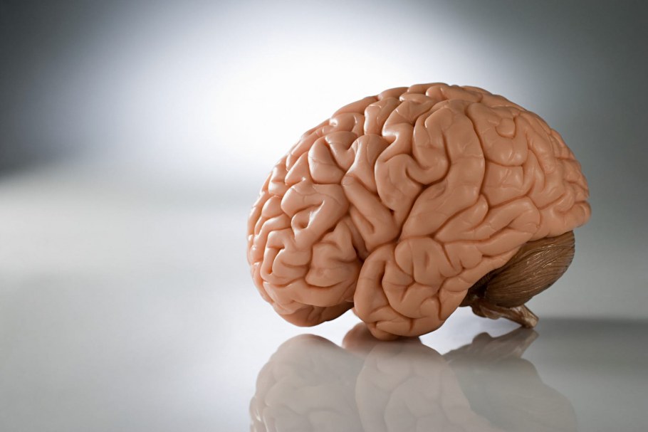 Развлечения для мозга