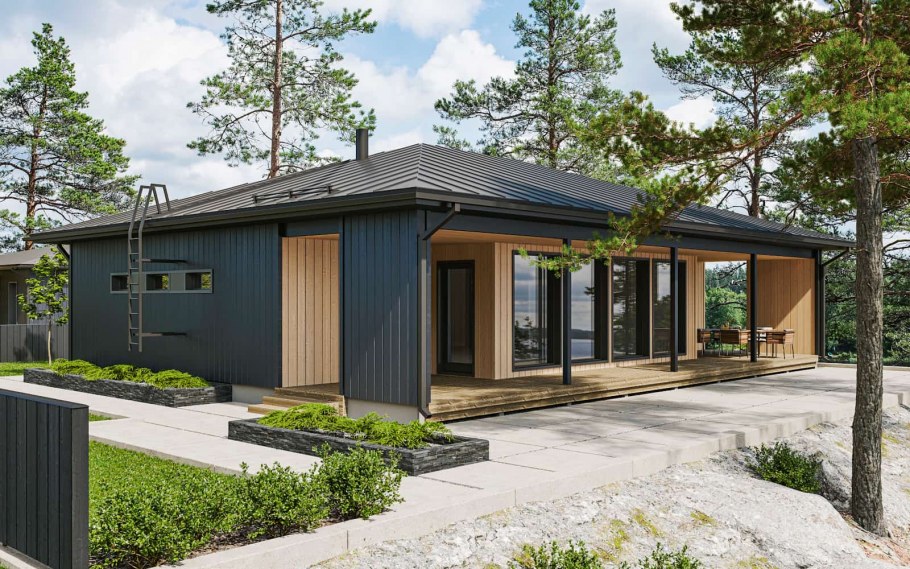 Финский проект Inna