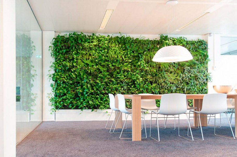 Озеленение потолка в интерьере