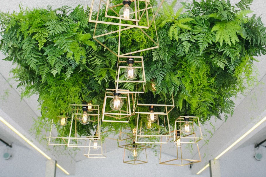 Свисающая зелень