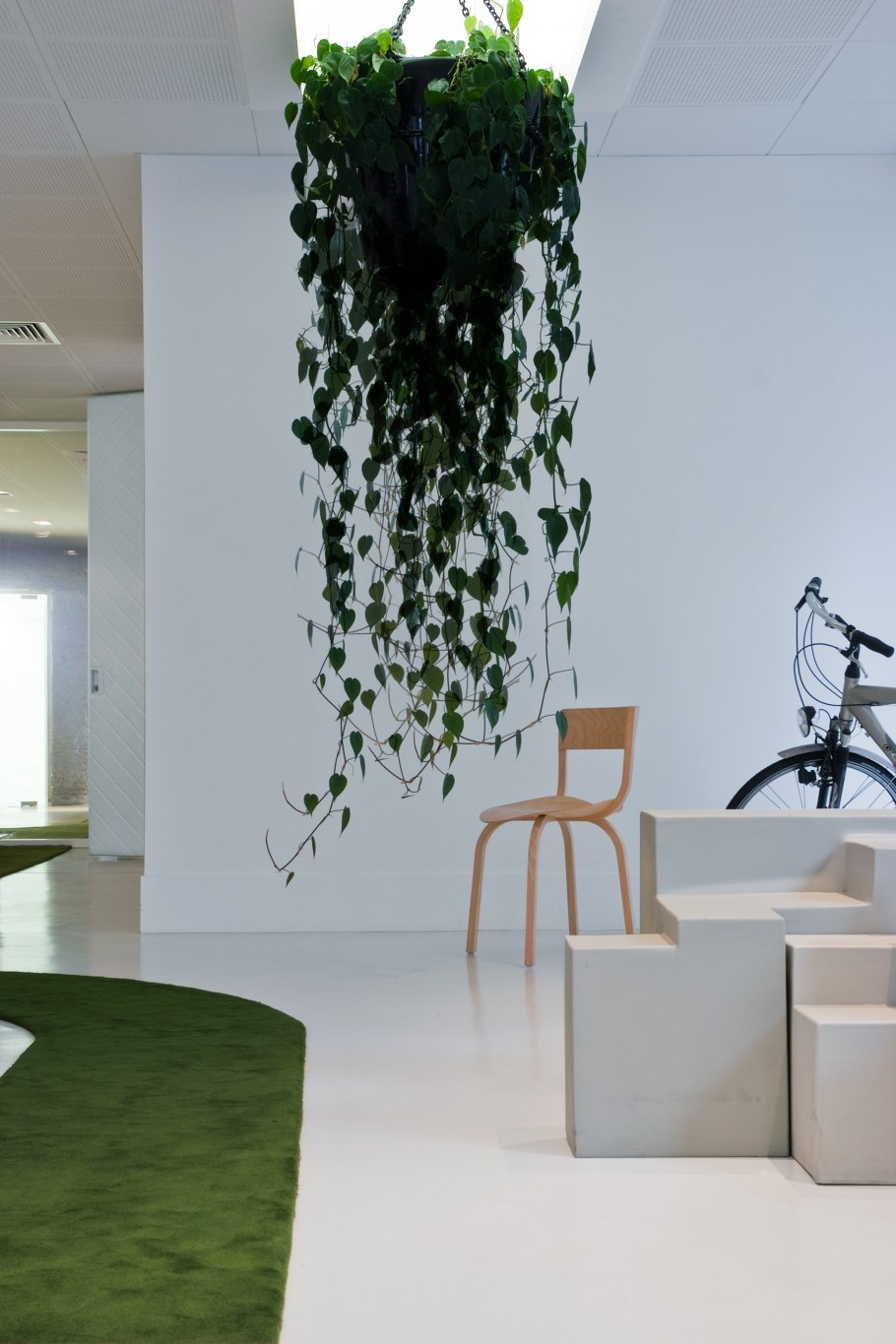 Настенные цветы