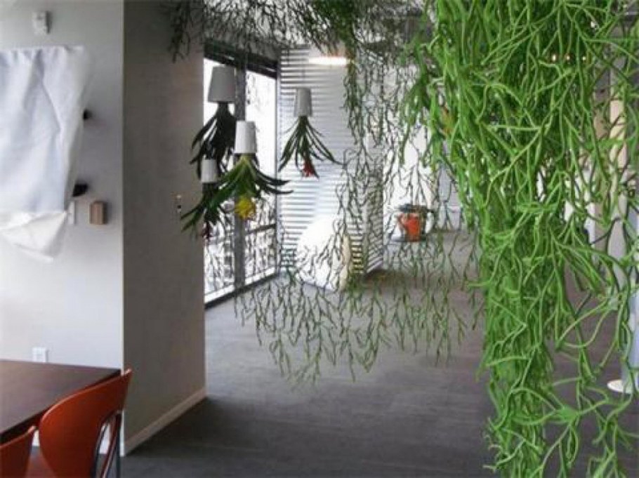 Искусственные цветы на потолке