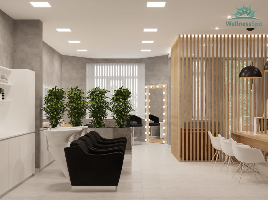 Интерьеры Санов красоты