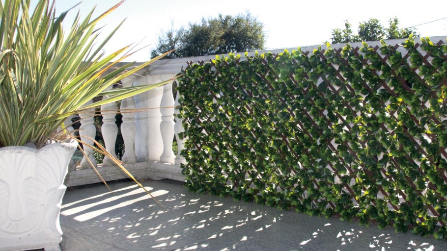 Лиственная изгородь