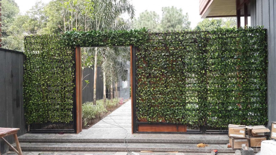 Самшит зеленая изгородь