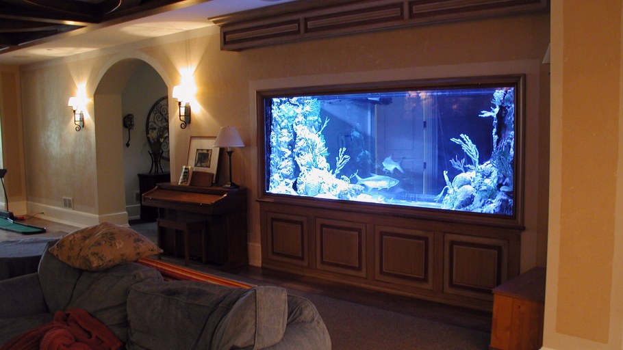 Аквариум перегородка