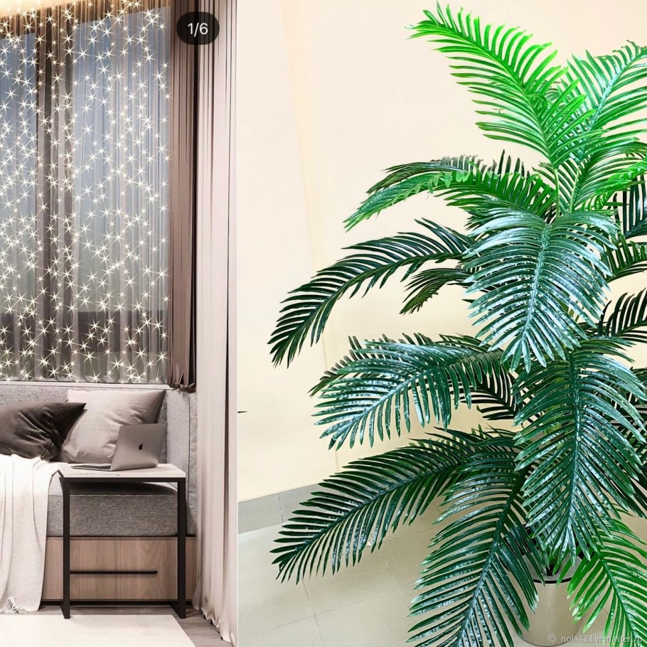 Финиковое дерево в интерьере