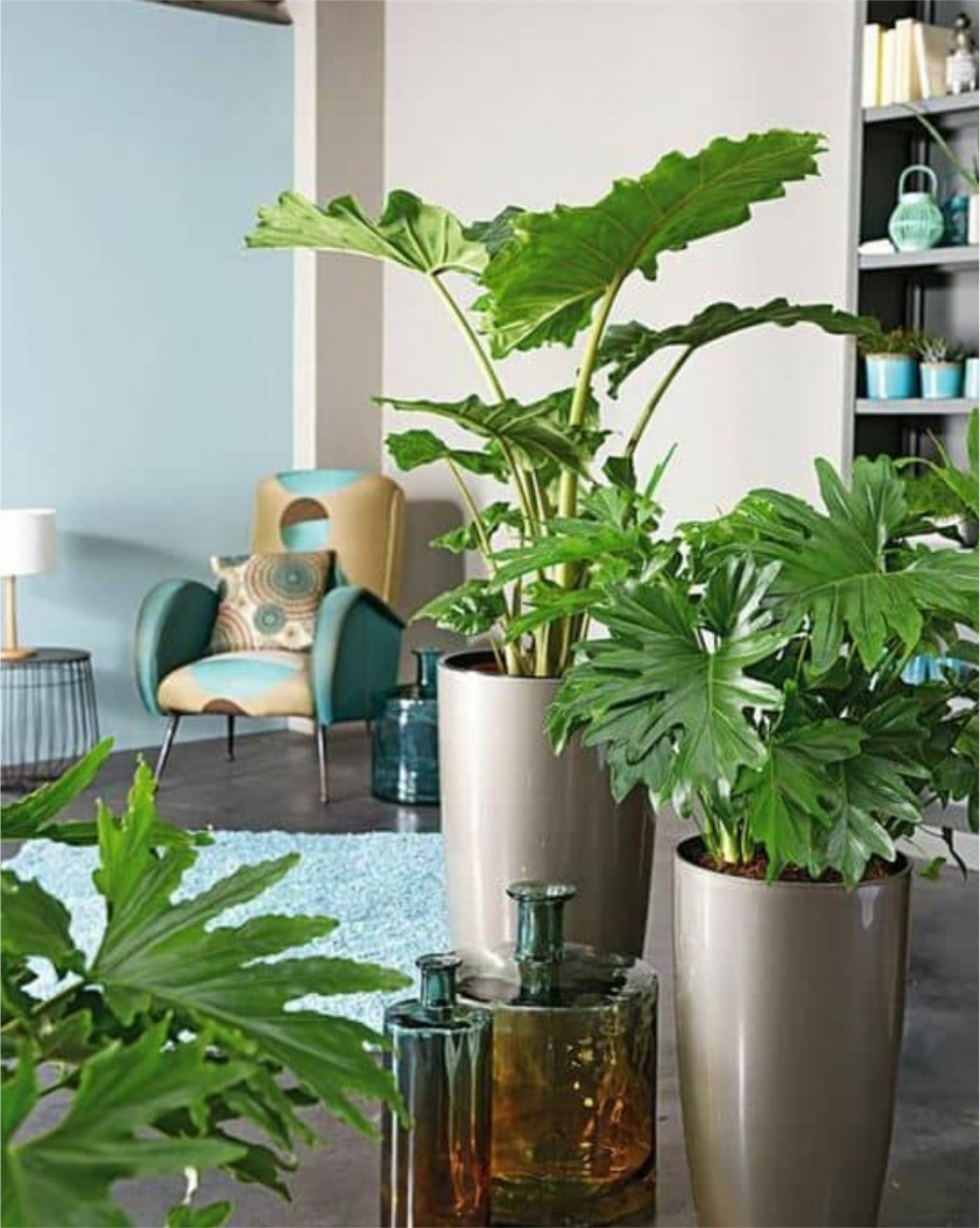 Кашпо Кубико 50 Lechuza