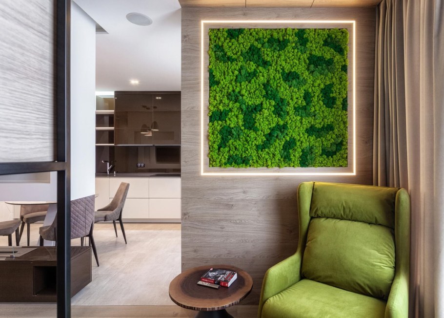 Мох ягель на стене