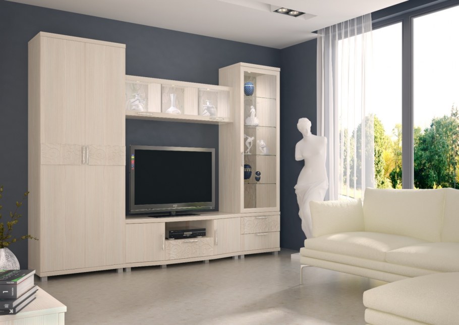 Стенка Вега-1 (РИИКМ)