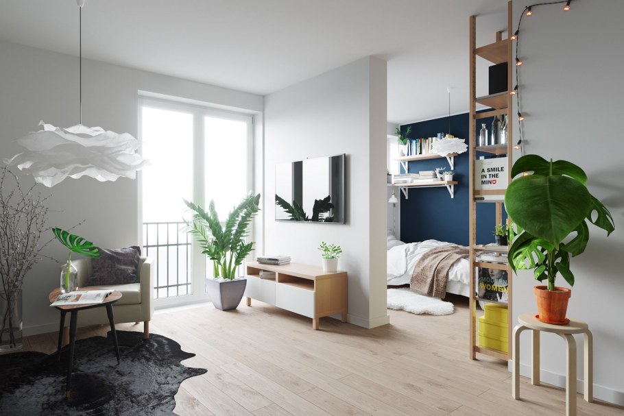 Растения в интерьере студии