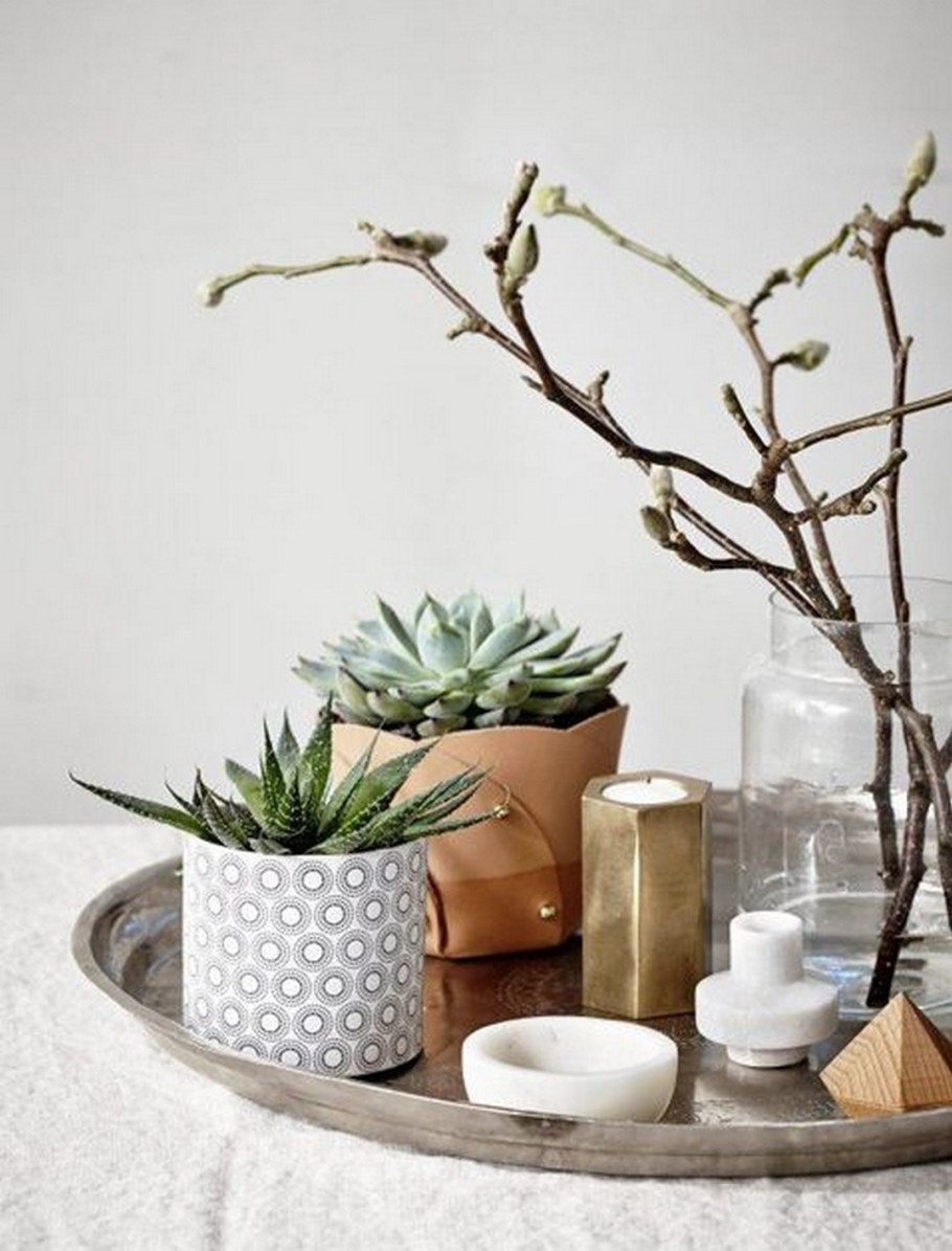 Суккуленты в скандинавском интерьере