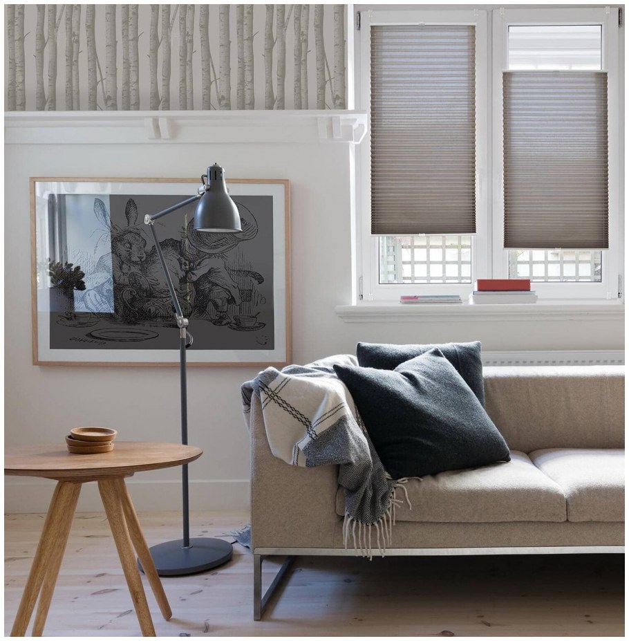 Шторы плиссе Эскар