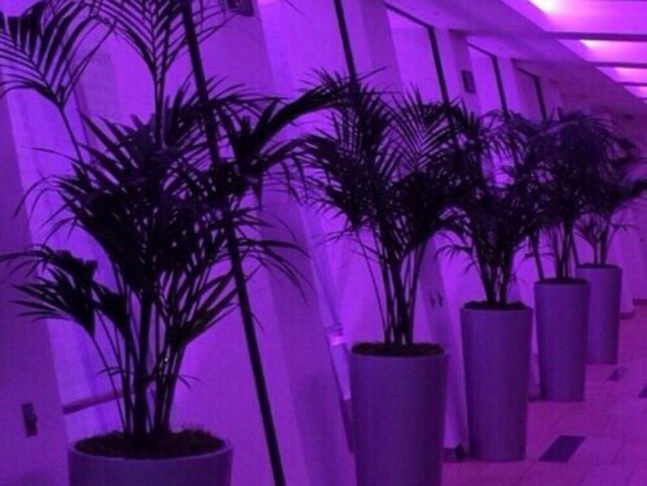 Интерьер спальни розово сиреневый