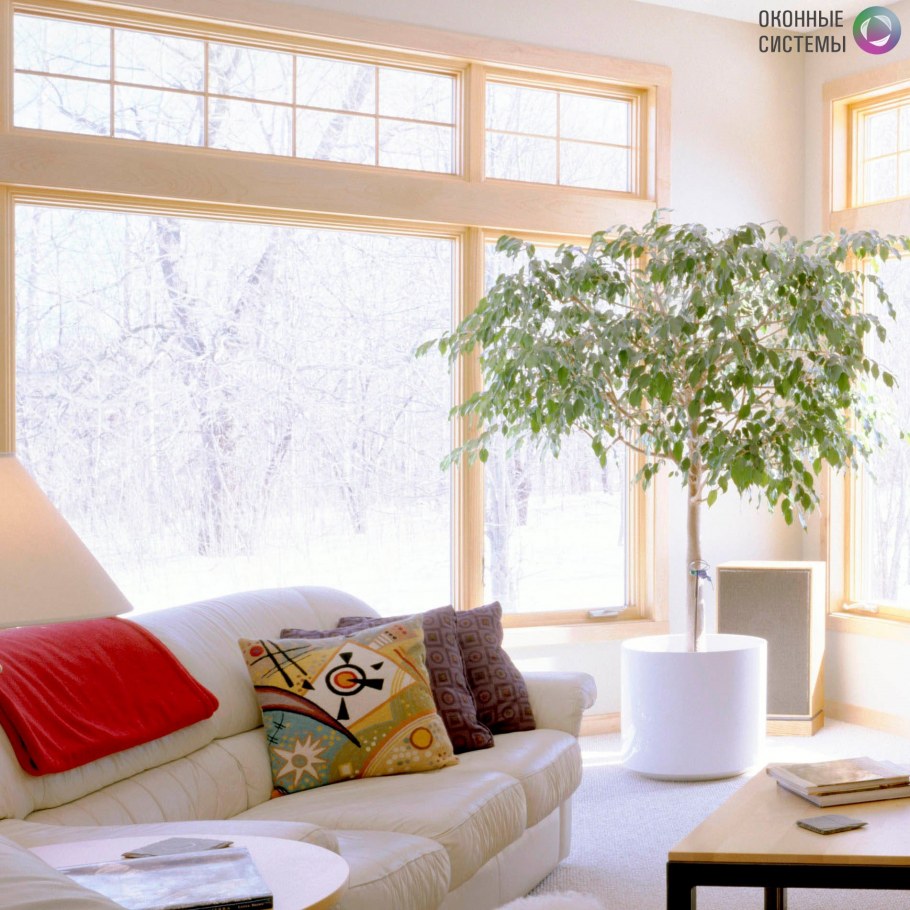 Васту шастра зоны