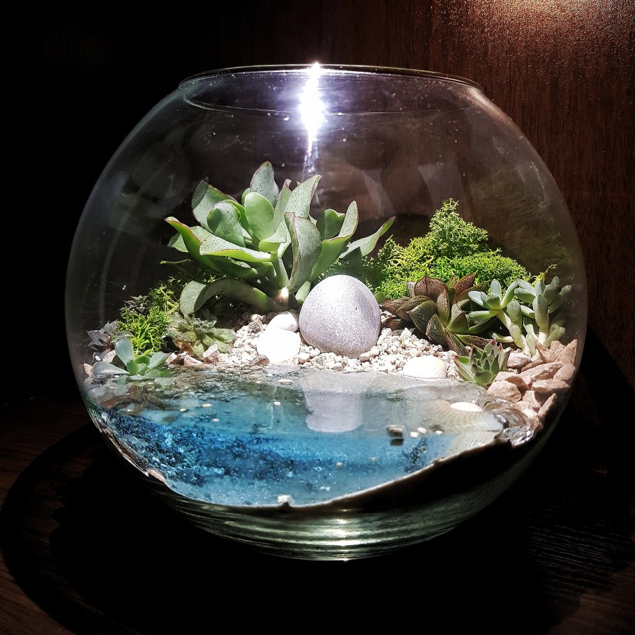 Флорариум джунгли