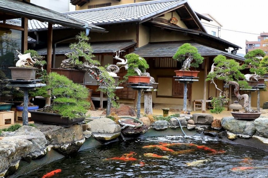 Японский сад на участке