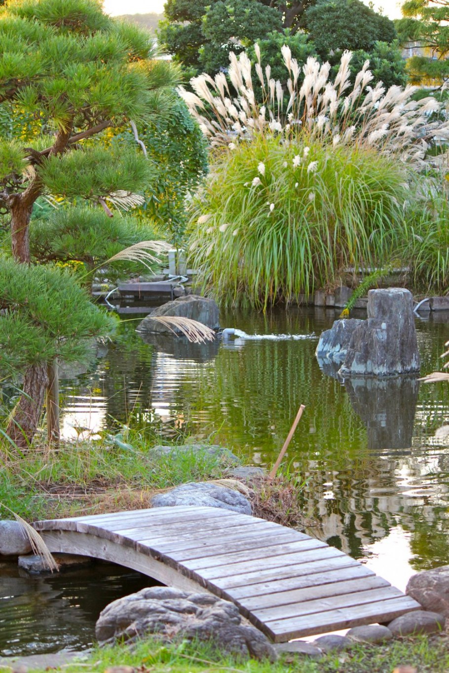 Искусственный пруд в японском стиле