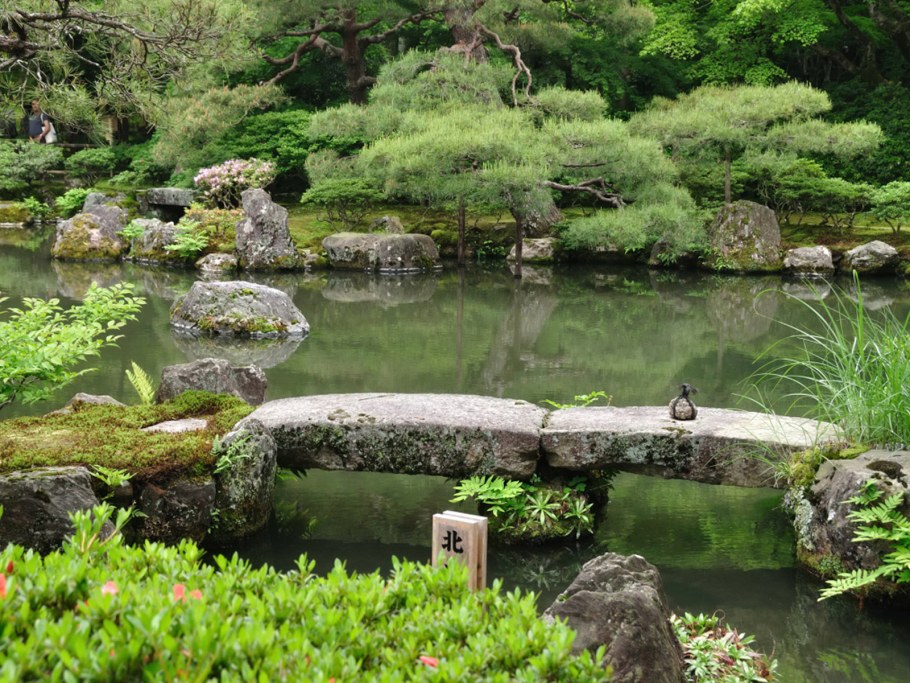 Ботанический сад Киото пруд