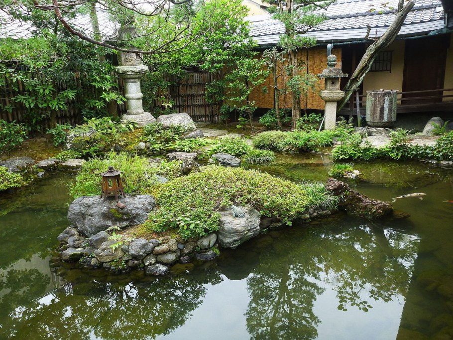 Пруд Тино Япония