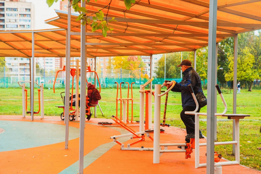 Ландшафт двора