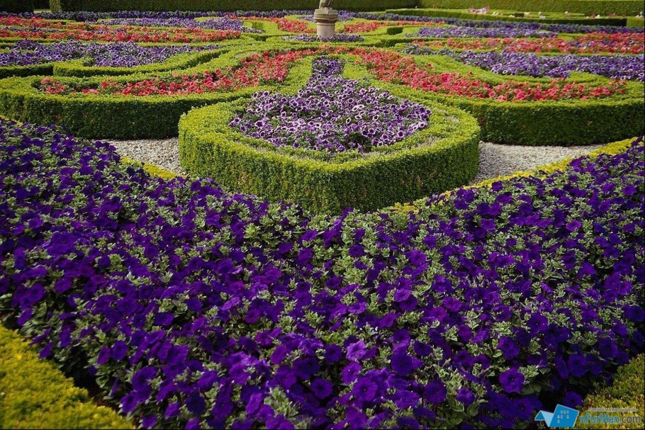 Дизайн клумб ярусы