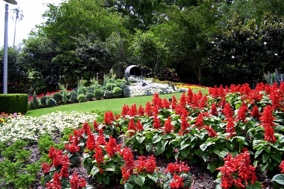 Рабатка Версаль