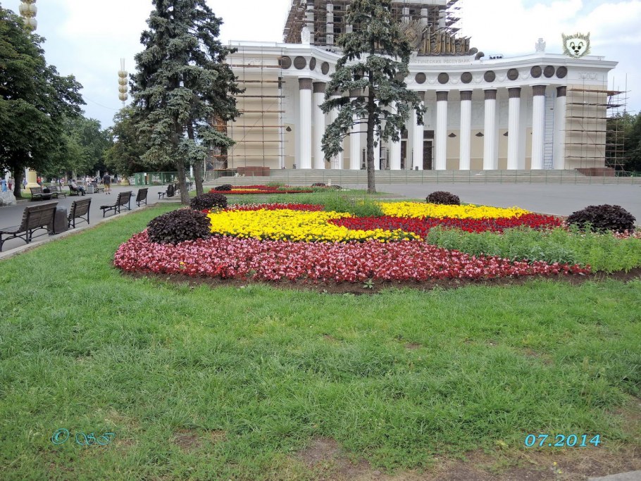 Цветочные клумбы Санкт-Петербурга