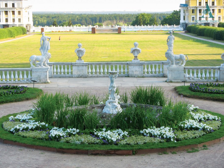 Моноклумба бархатцы