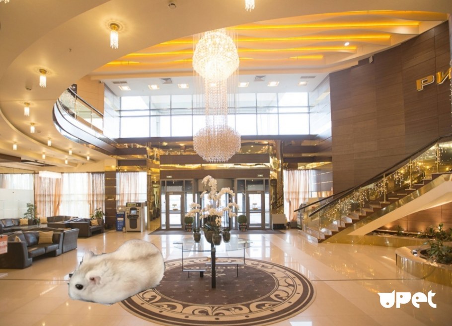 Ривера ТЦ Автозаводская