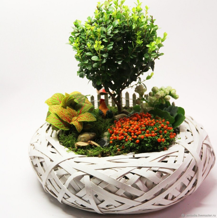 Композиция из горшечных